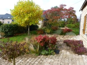 Création de jardin Juvigné, La Croixille, Le Bourgneuf-la-Forêt